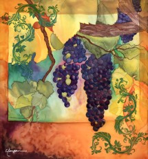 Pinot Noir Harvest Grapes